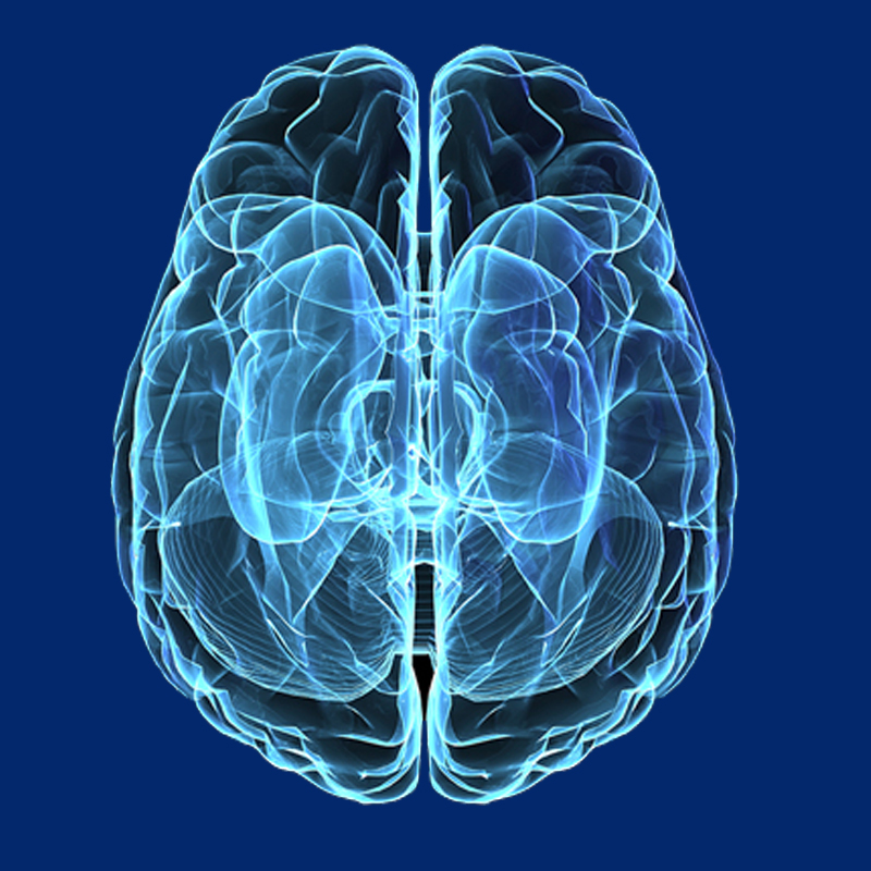 Nuclear Medicine Therapy & Theranostics