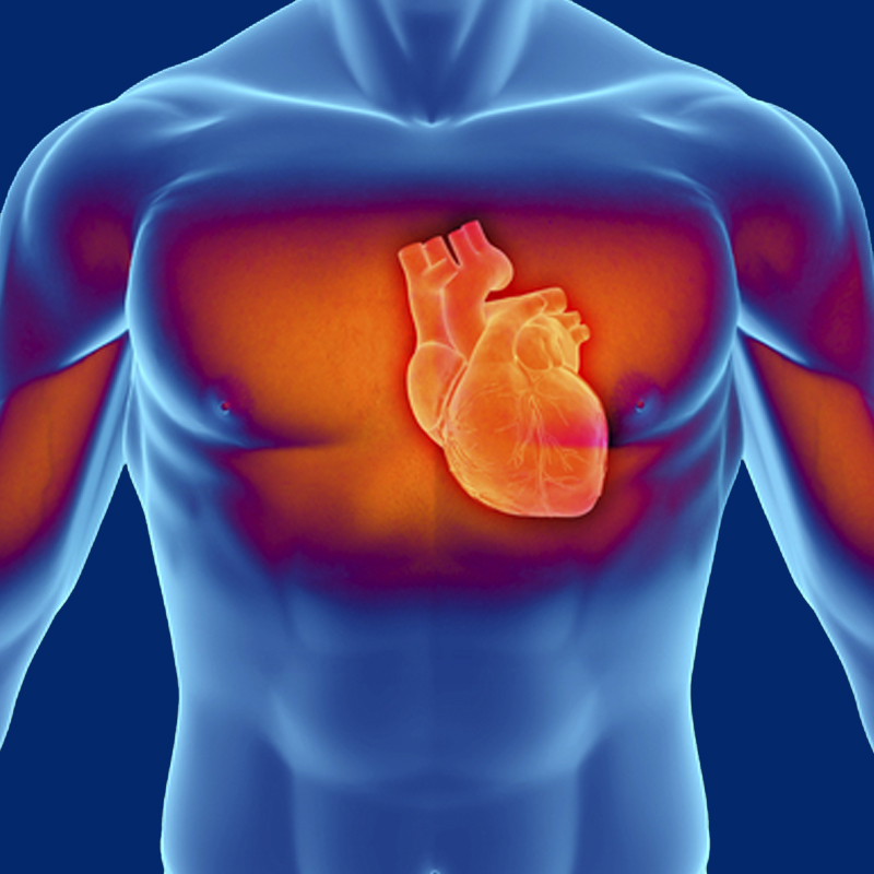 Nuclear Medicine Therapy & Theranostics