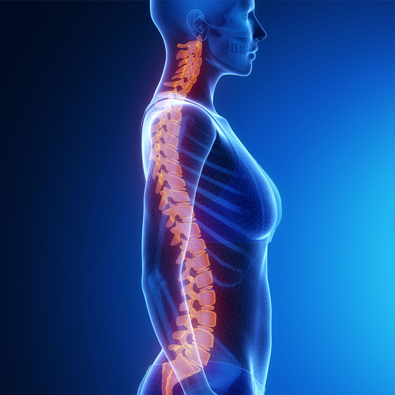 Nuclear Medicine Therapy & Theranostics